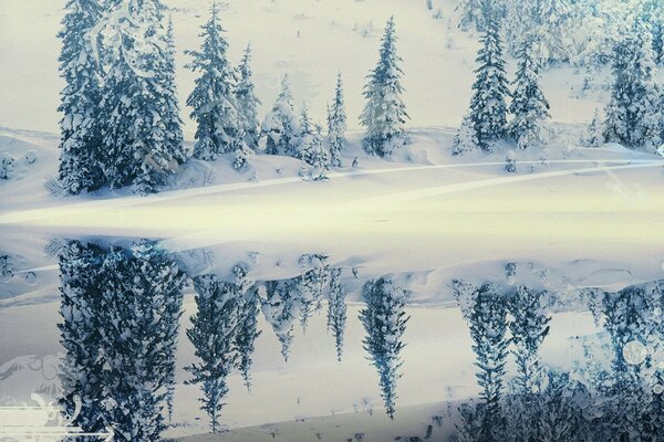 Reflejo de los árboles de invierno en el río