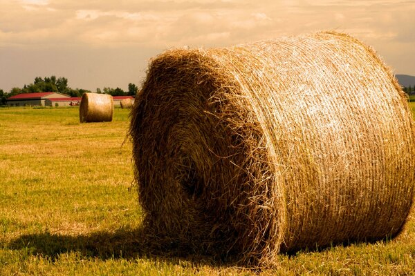 A haystack in an autumn field