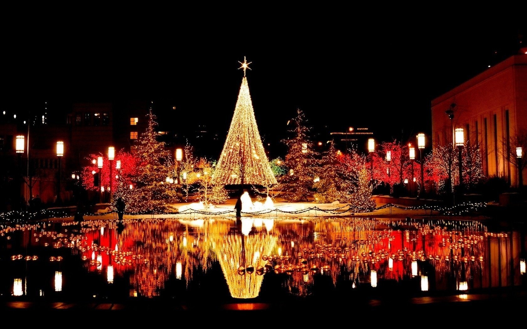 nacht weihnachtsbaum reflexion platz girlanden lichter stadt wasser