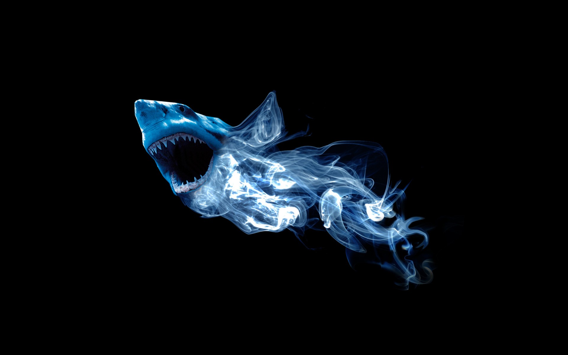 requin fumée abstraction