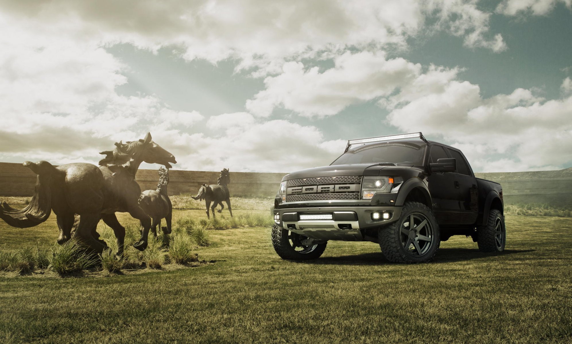 ford f-150 raptor schwarz raptor feld himmel pferde