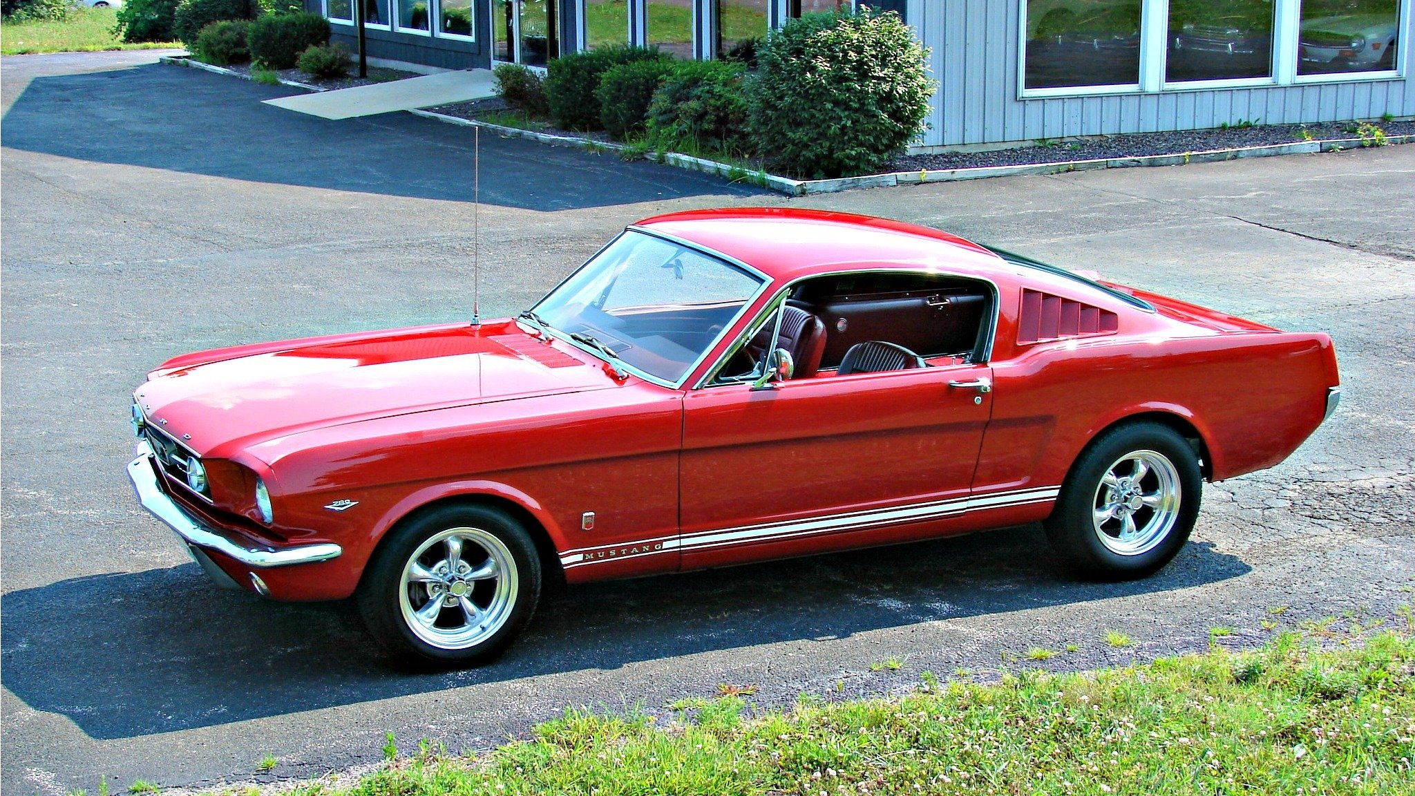 ford mustang ford mustang czerwony czerwony mustang 1966 1966 rok olejowy samochód muscle car amerykanin amerykański samochód usa ford mustang