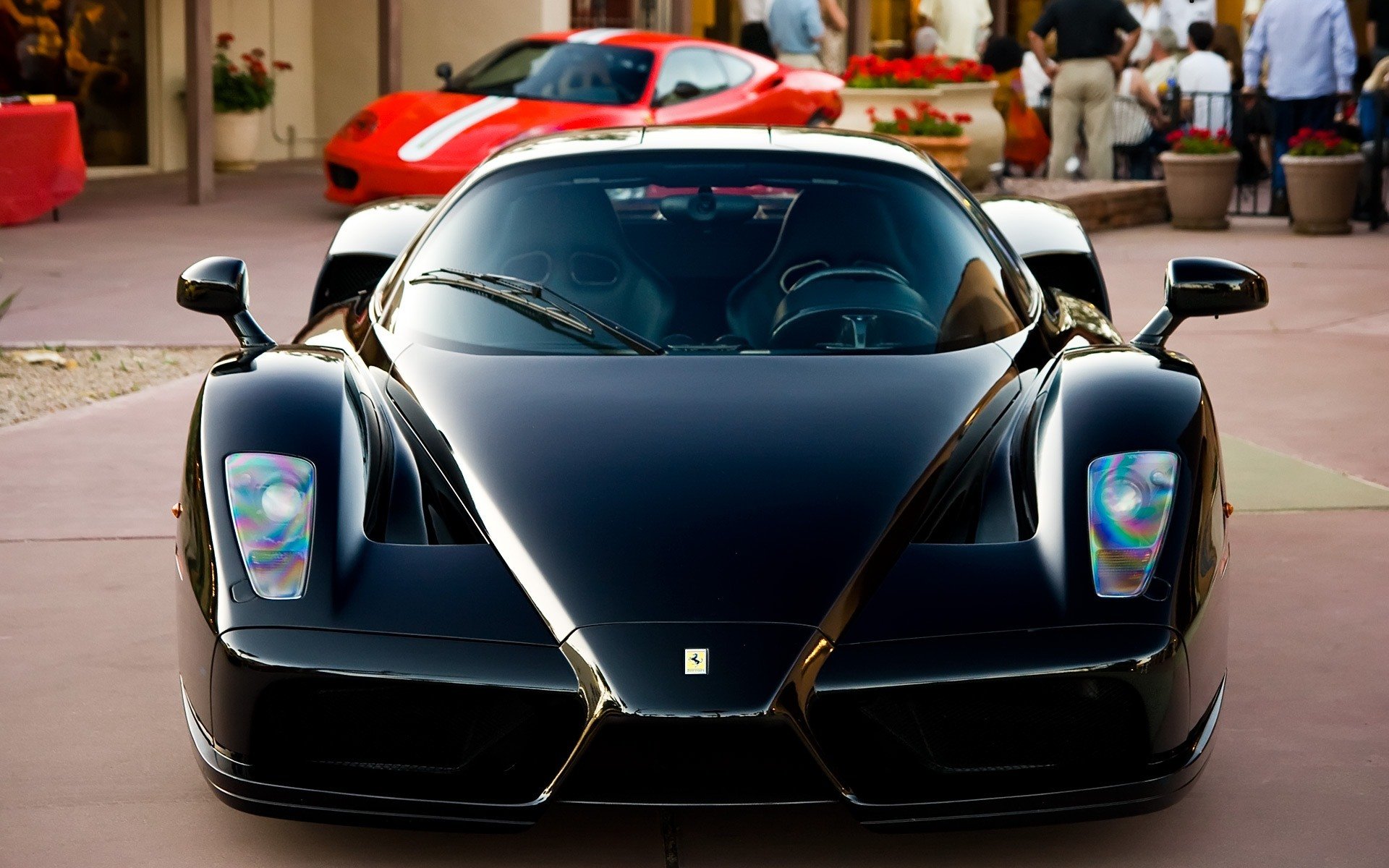 ferrari enzo noir voiture voiture ferrari enzo