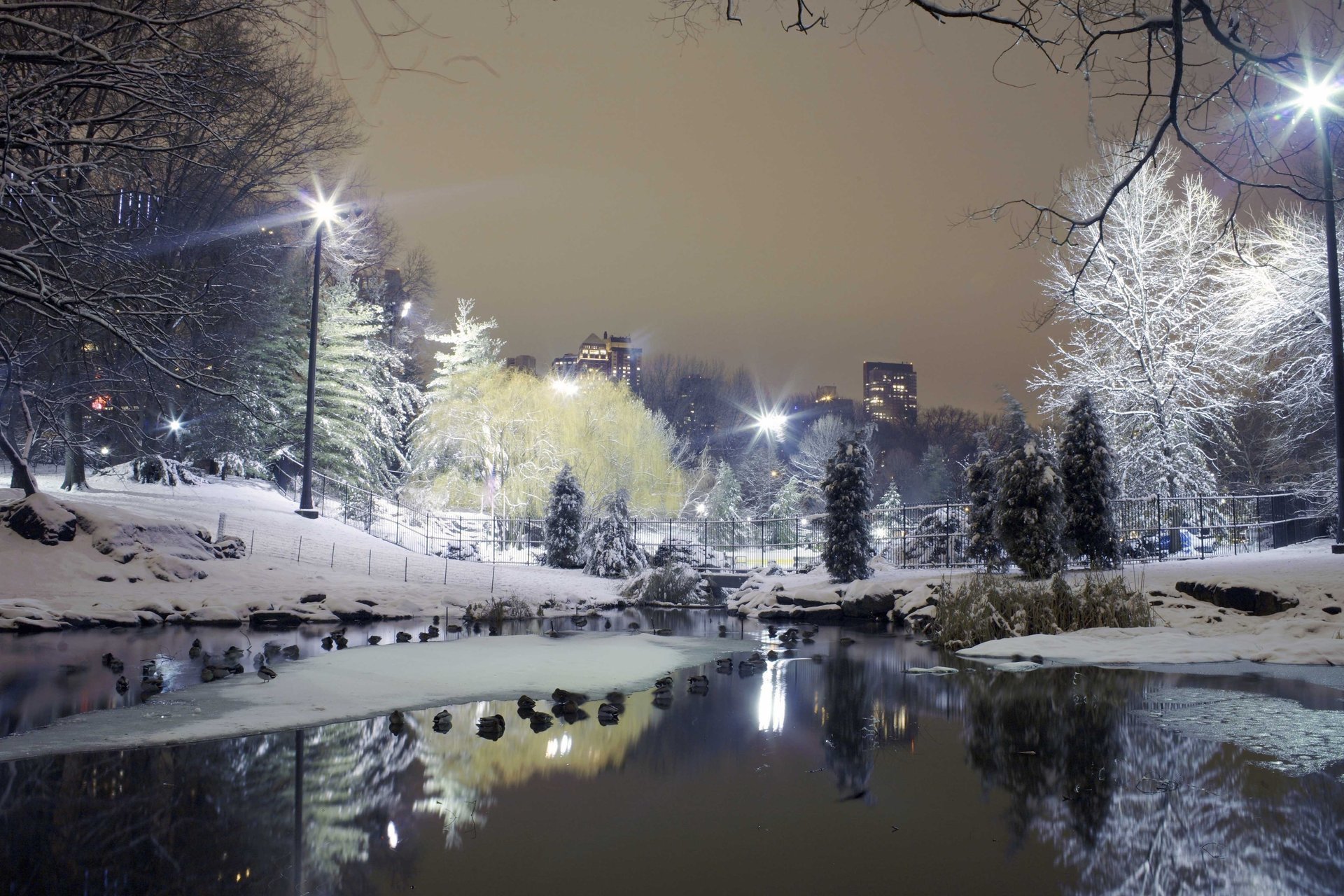 paris ville arbres parc lanternes hiver neige