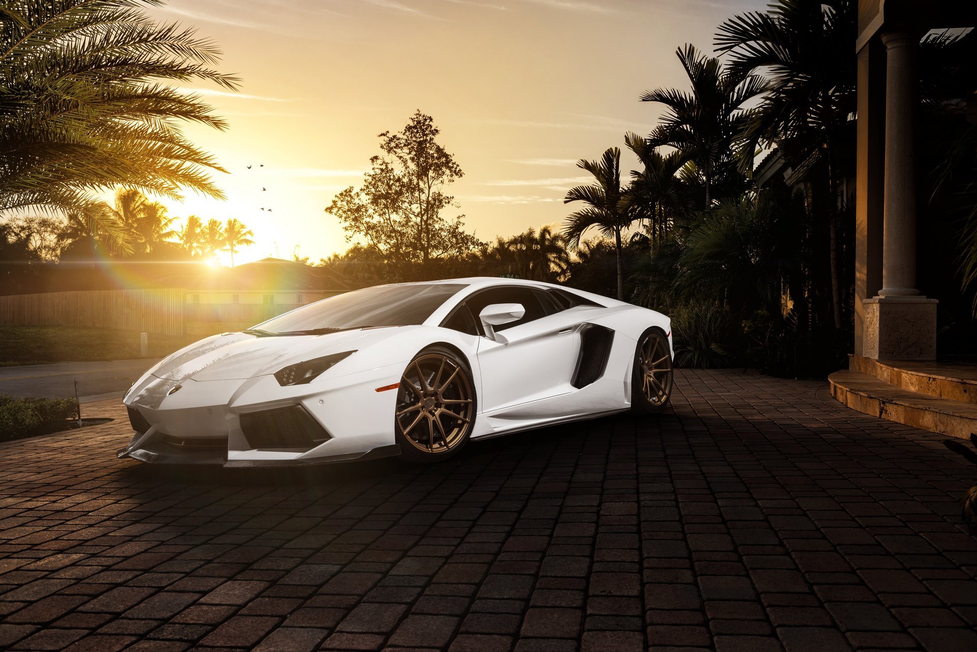 lamborghini aventador lp700-4 blanco frente lamborghini lamborghini aventador frente mansión palmeras sol resplandor