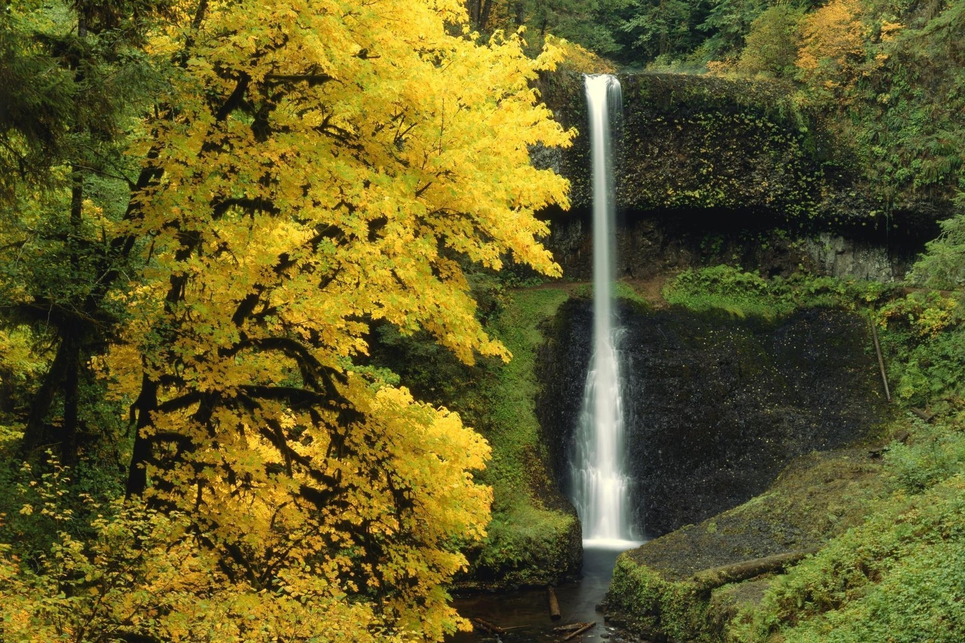 autumn waterfall trees forest nature