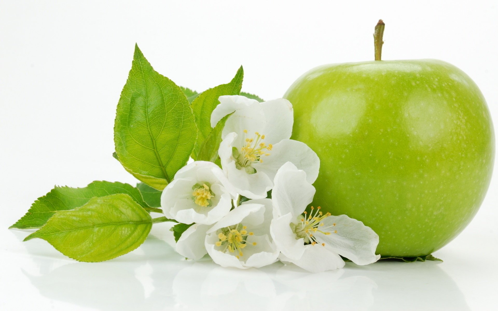 fleurs pomme feuilles