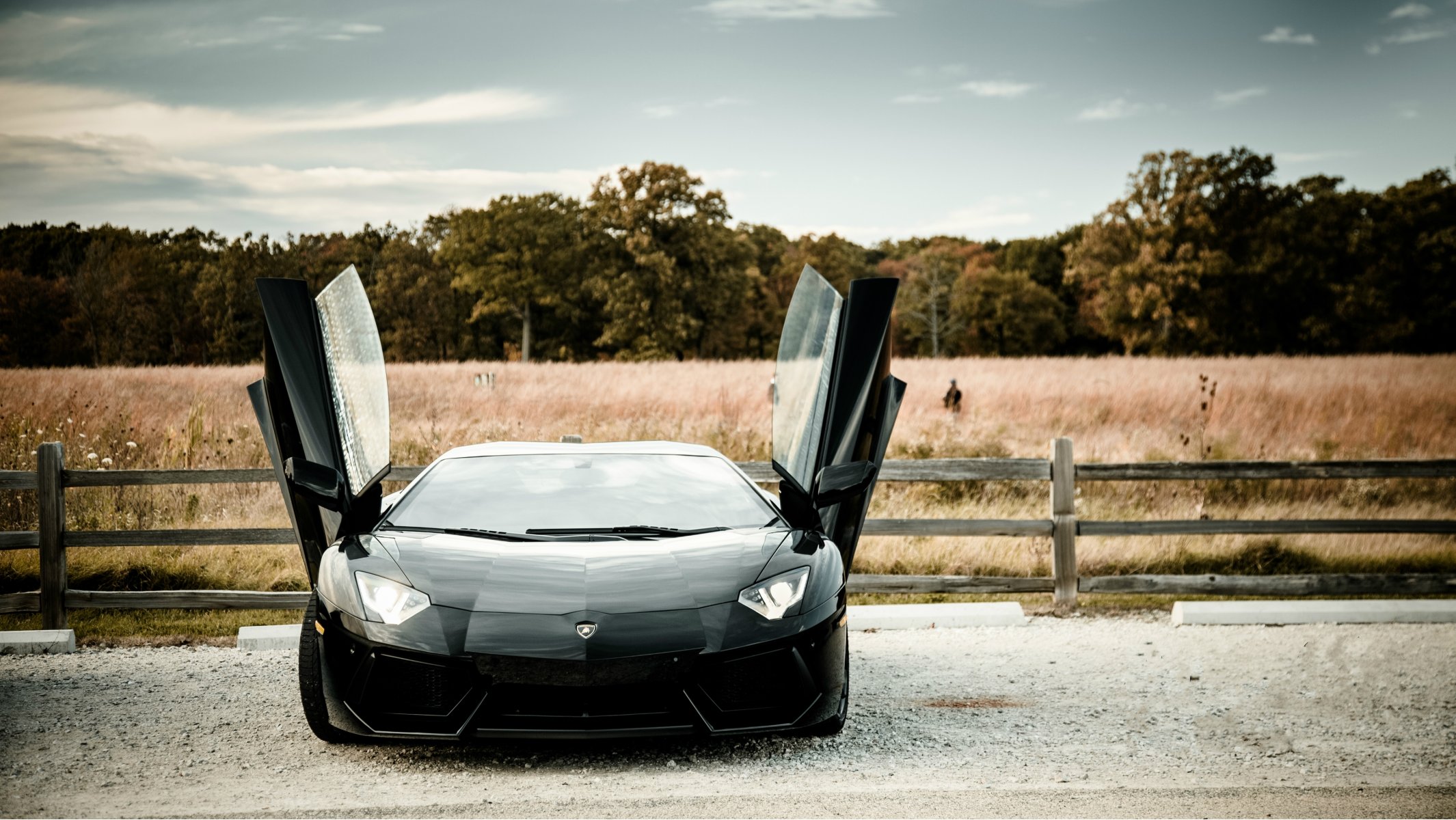 lamborghini aventador lp700-4 noir lamborghini aventador champ arbres ciel nuages