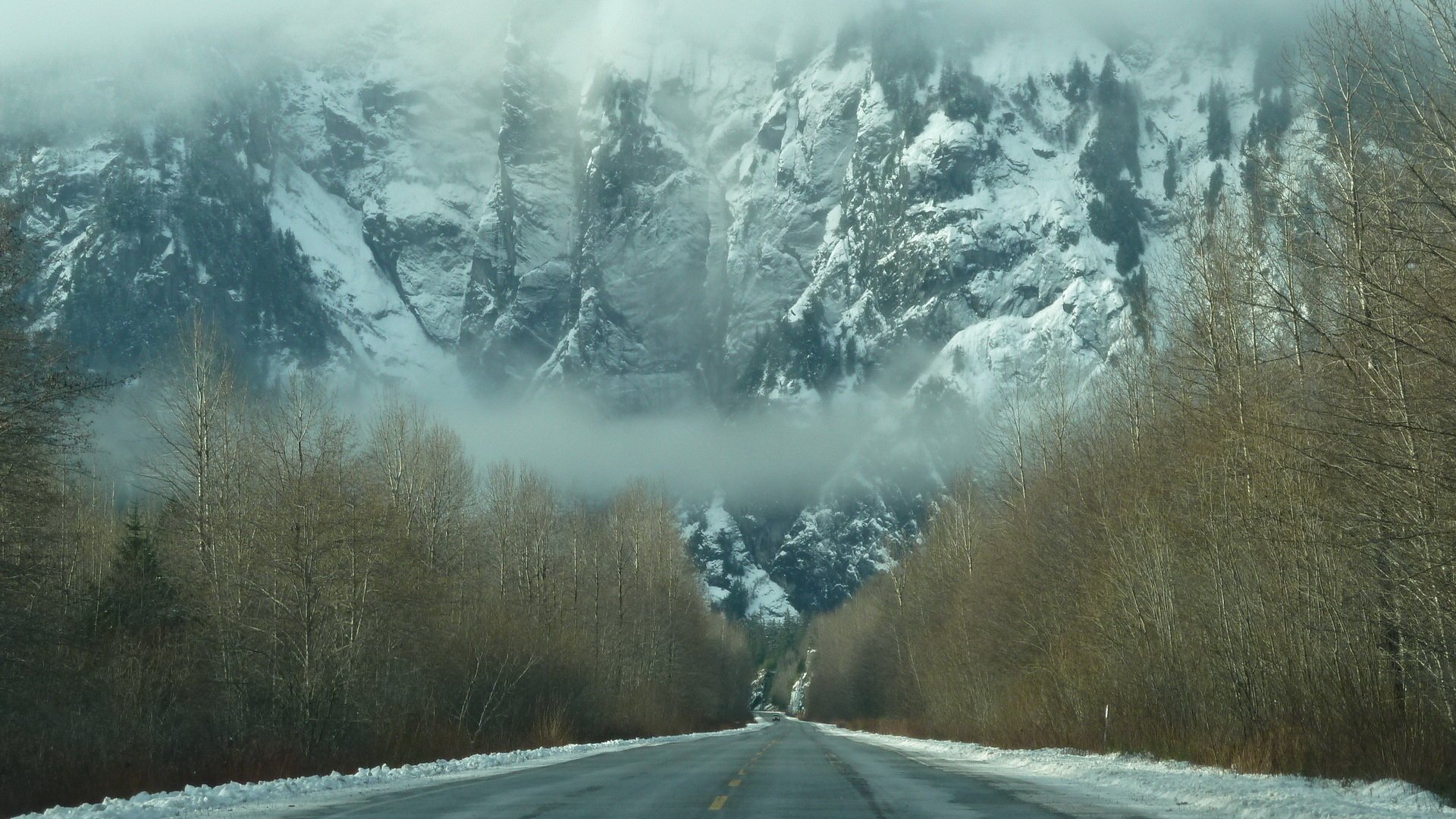 hiver forêt neige montagnes brume route brouillard