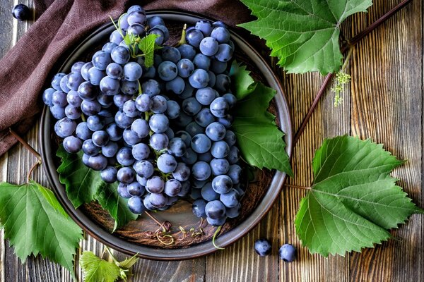 Racimos azules de uvas en la mesa