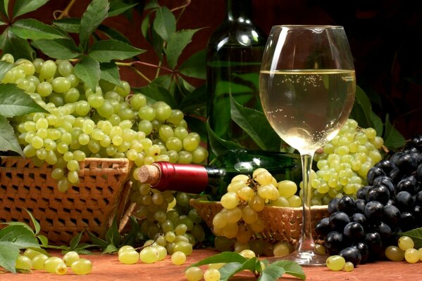 Körbe mit Trauben und ein Glas Weißwein