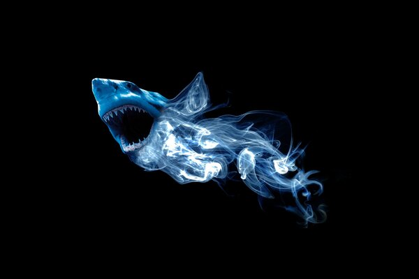 Abstraction of a shark and smoke on a black background