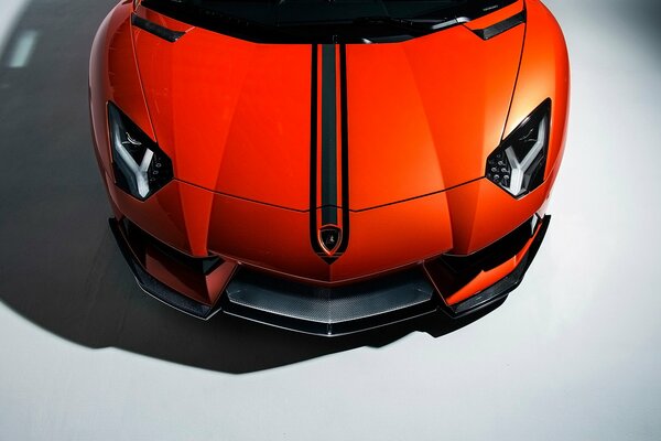 Car. Tuned hood of lamborghini aventador