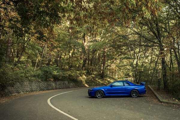 Nissan color azul sobre el fondo de la naturaleza