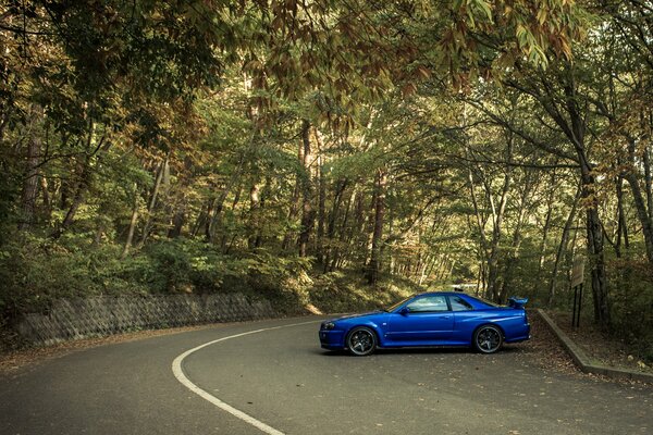 Nissan Auto di colore blu sullo sfondo della natura