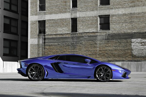 Lamborghini car of bright purple color