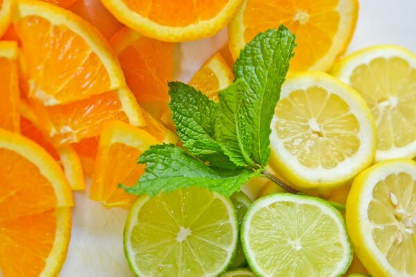 Citrus grower mood on a light background. Slicing orange lime and lemon