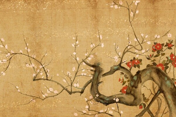 Patrón de Sakura en lienzo