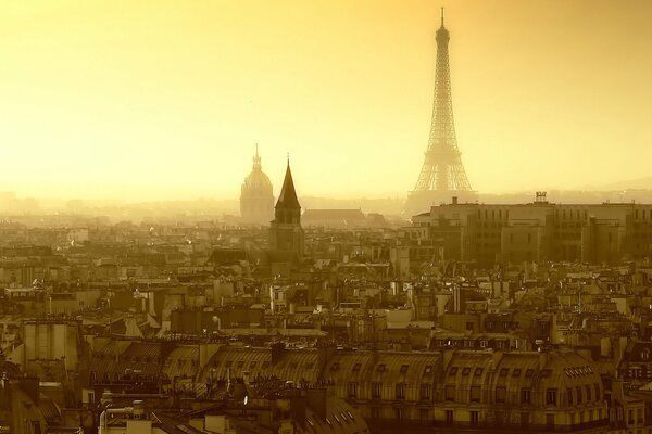 The streets of Paris are covered with fog