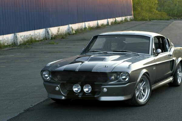 Ford Mustang gt500 unter der Abendsonne