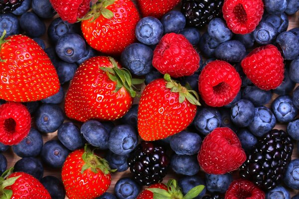 Eine Streuung von Heidelbeeren, Erdbeeren, Himbeeren, Brombeeren