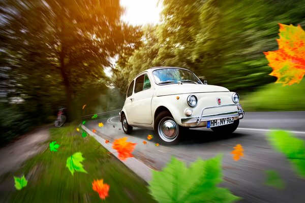 Classic Fiat 500 on the road in the autumn forest