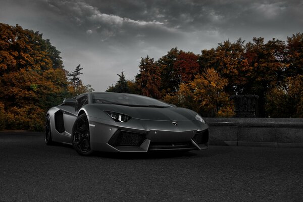 Lamborghini está de pie en la carretera en otoño