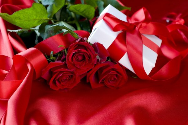 Rote Rosen und weißes Geschenk mit rotem Band