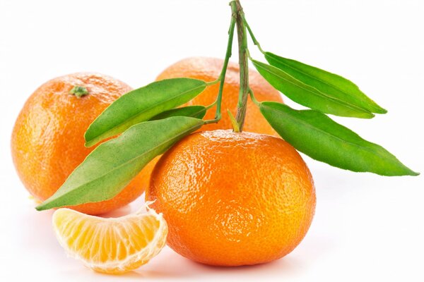 Fresh bright citrus fruits on a white background