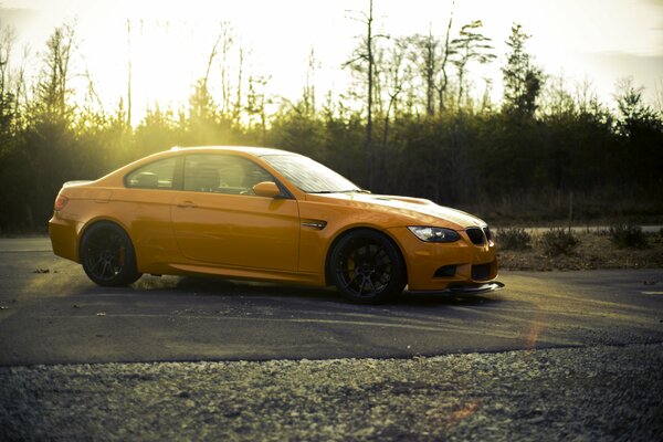 Orange BMW side view against a forest background