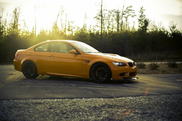 Vue latérale de BMW orange sur fond de forêt