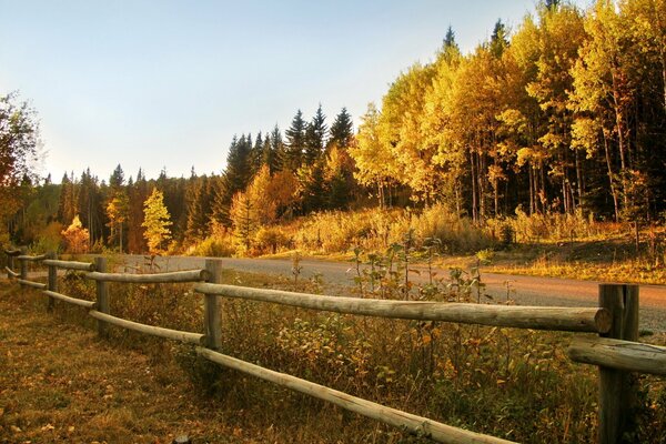 Bosque valla carretera