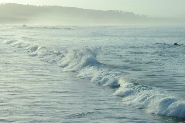 Vagues de la mer. Nature. Il y a du brouillard