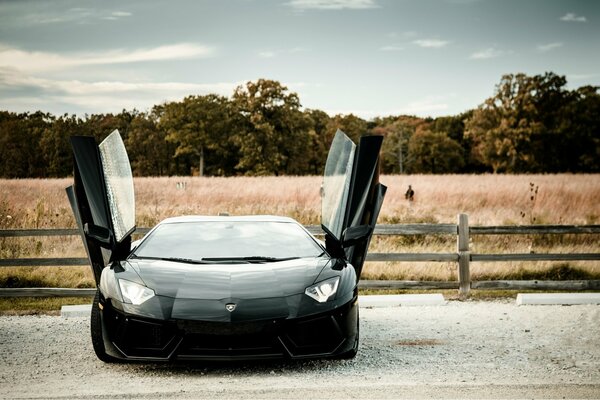 Lamborghini mit offenen Türen auf Feldhintergrund