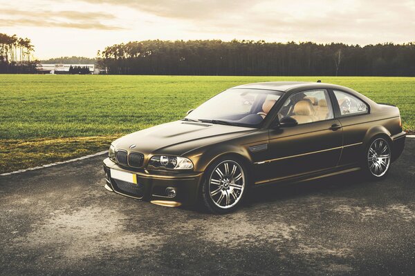 Gris BMW sur la route de campagne