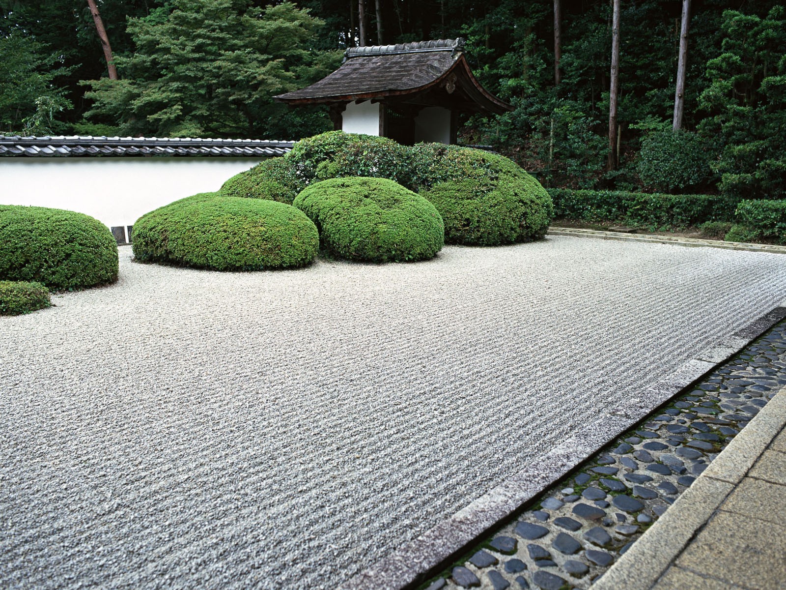 japan garten sträucher