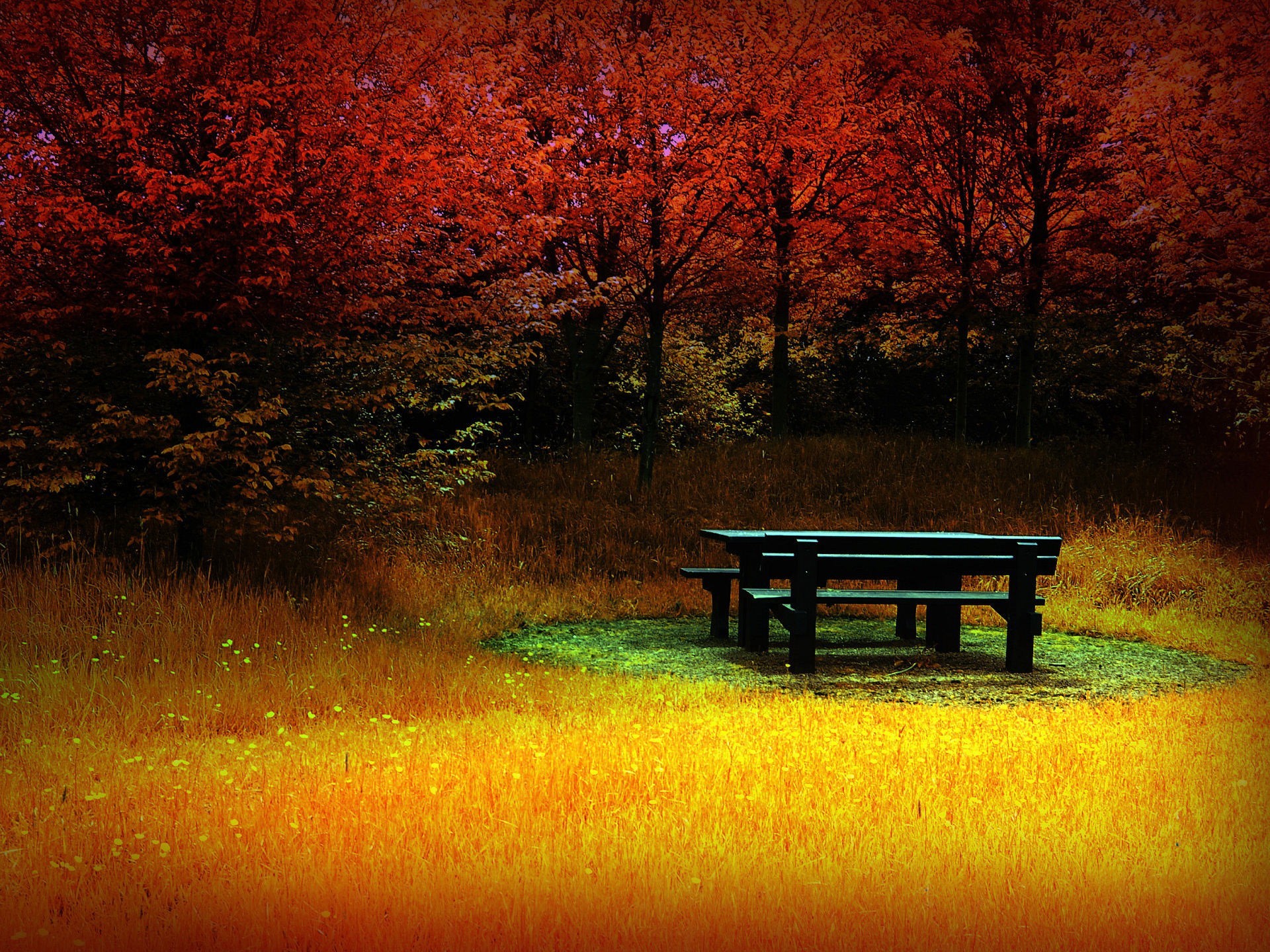 geschäft gras bäume farbe herbst