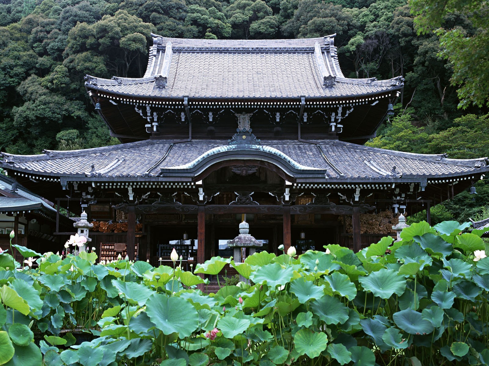 japan temple forest