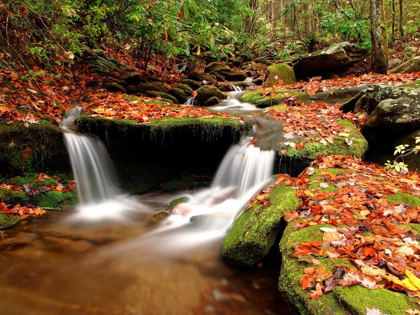 steine blätter herbst bach wasser