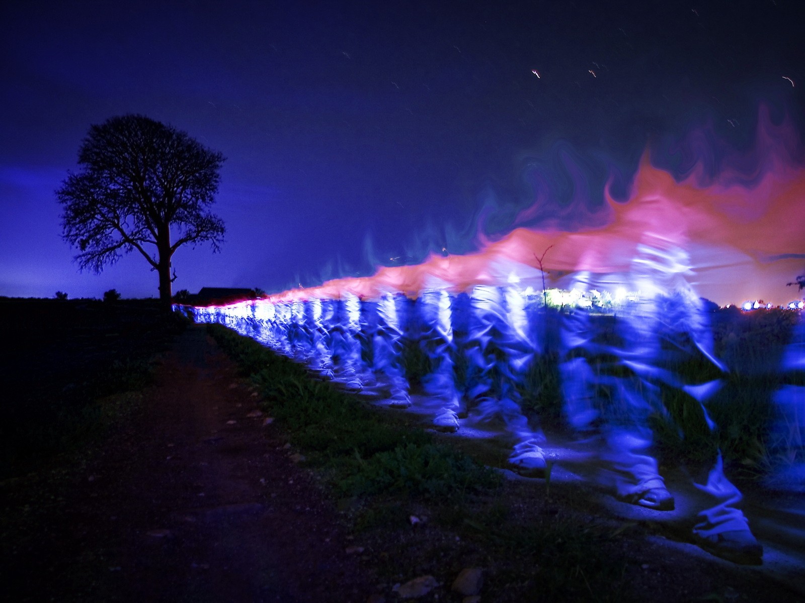 nacht baum licht füße