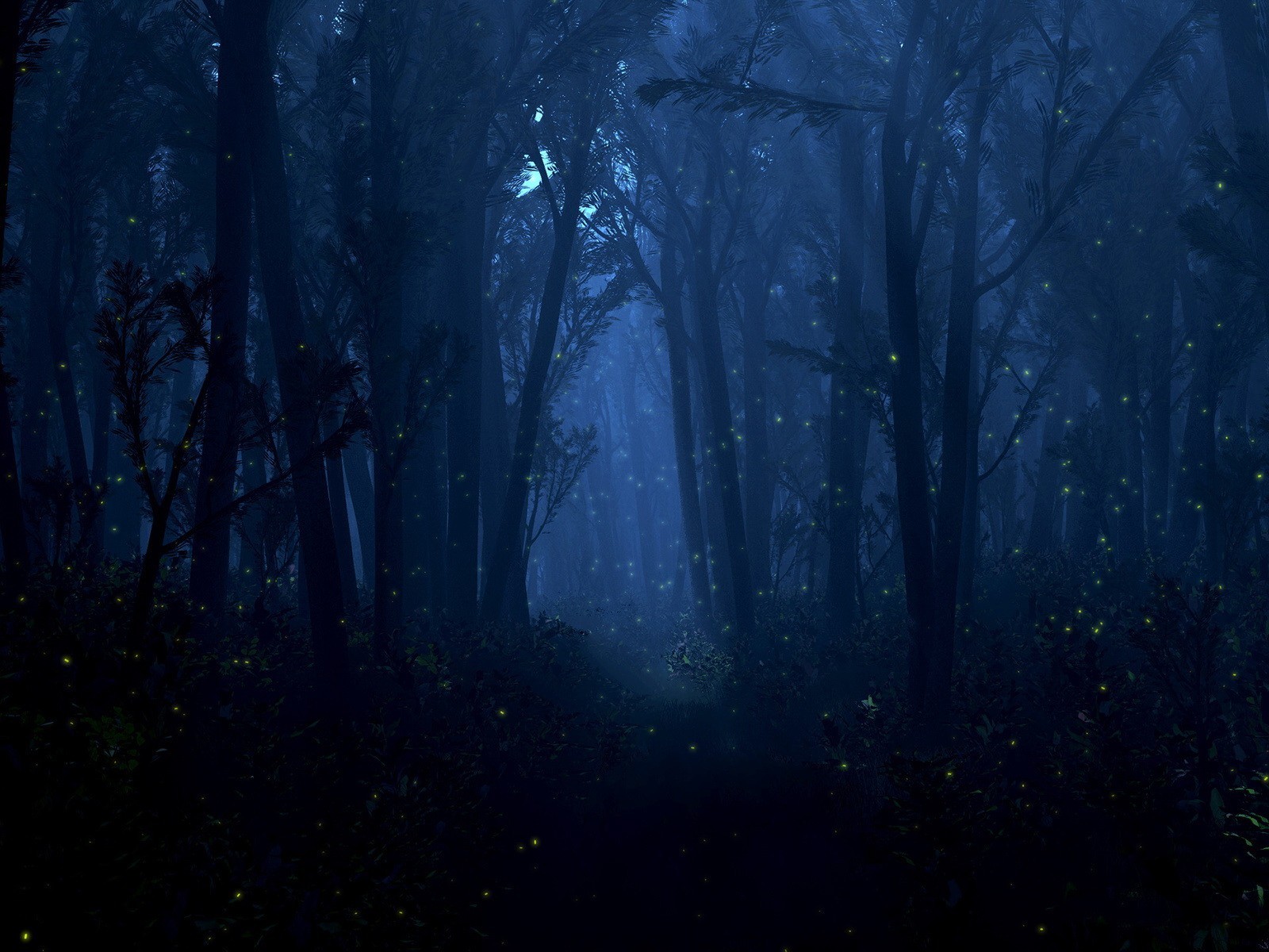 nuit lucioles lumières lumière forêt arbres