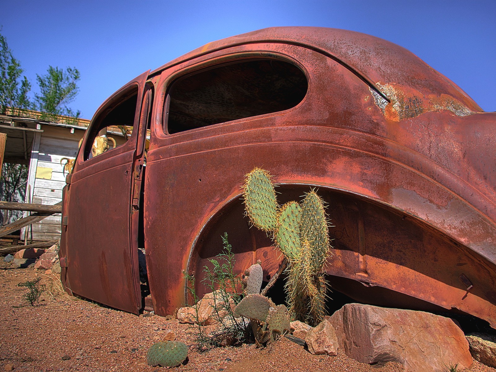 cactus body car rust