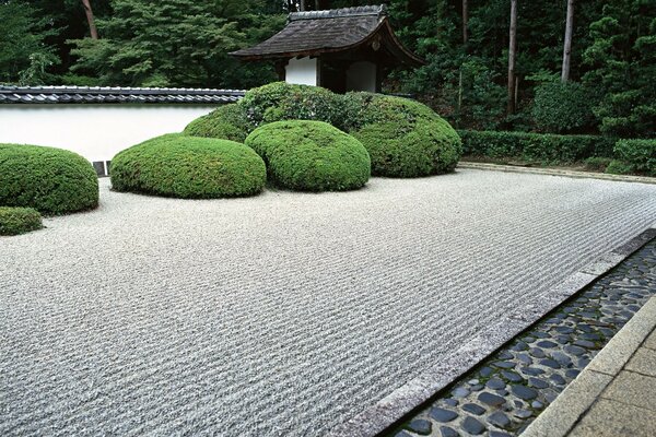 Jardin avec des buissons dans le style japonais