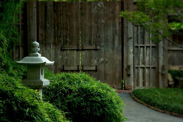 A lamp in the bushes and a wooden gate