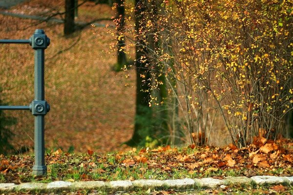 Parque de otoño. las hojas amarillas se encuentran en las rocas