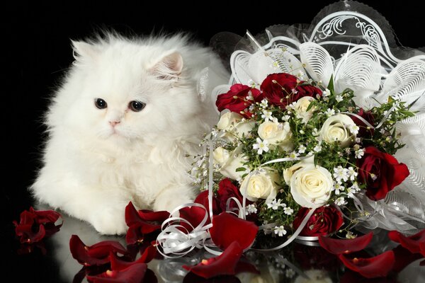 Imagen de un gato blanco junto a un ramo de rosas sobre un fondo negro