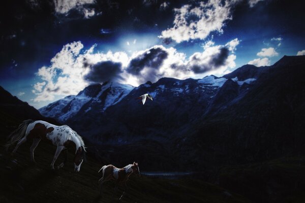 Horses on the background of a cloudy night sky