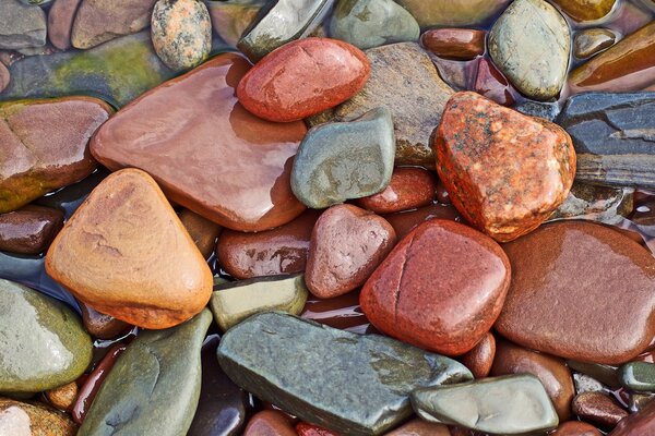 Wet multicolored stones of different shapes and sizes