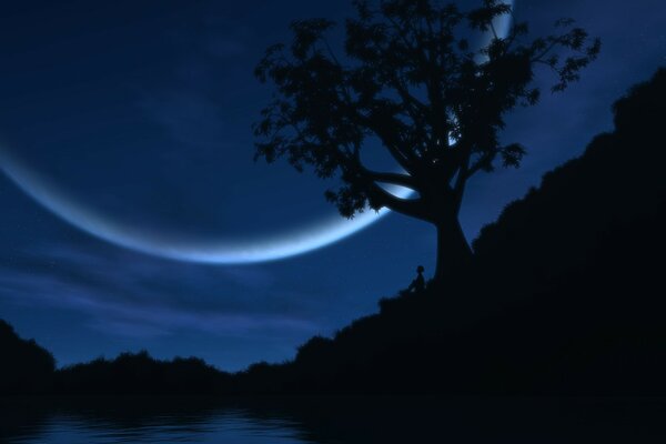 A tree on the shore against the background of a large moon