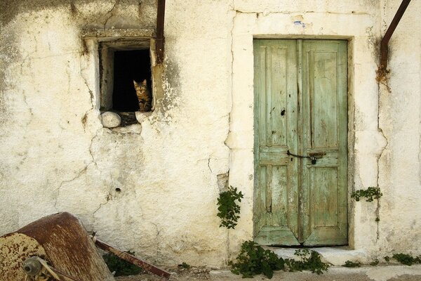 Gato sentado en la ventana de una casa vieja